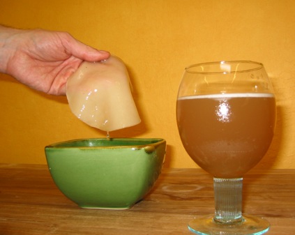 Kombucha mushroom and beverage