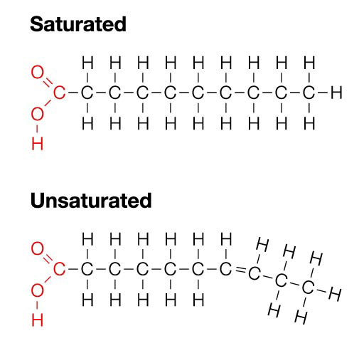 saturated-unsaturated-fats-molecular-config