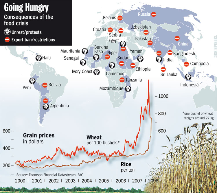 going hungry consequences of the food crisis