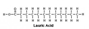 LauricAcid2