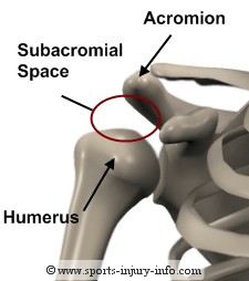 subacromial-space