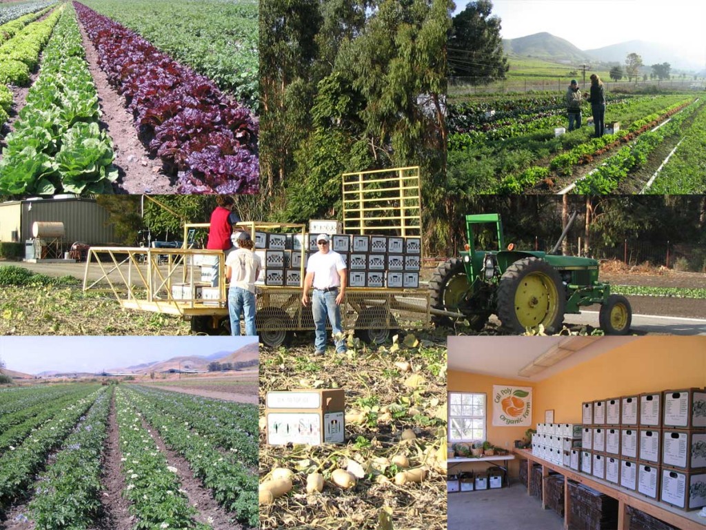 organic-farm-collage_w3gu