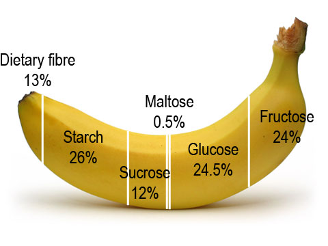 The breakdown of sugars in a banana