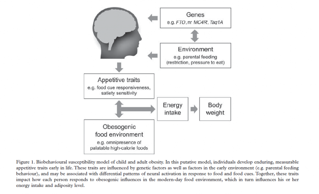 Source: Carnell S, Kim Y, Pryor K. Fat brains, greedy genes, and parent power: A biobehavioral risk model of child and adult obesity. International Review of Psychiatry 2012;24:189-199. 