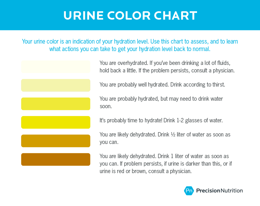 The color of a person's urine is a clear indicator of their hydration levels