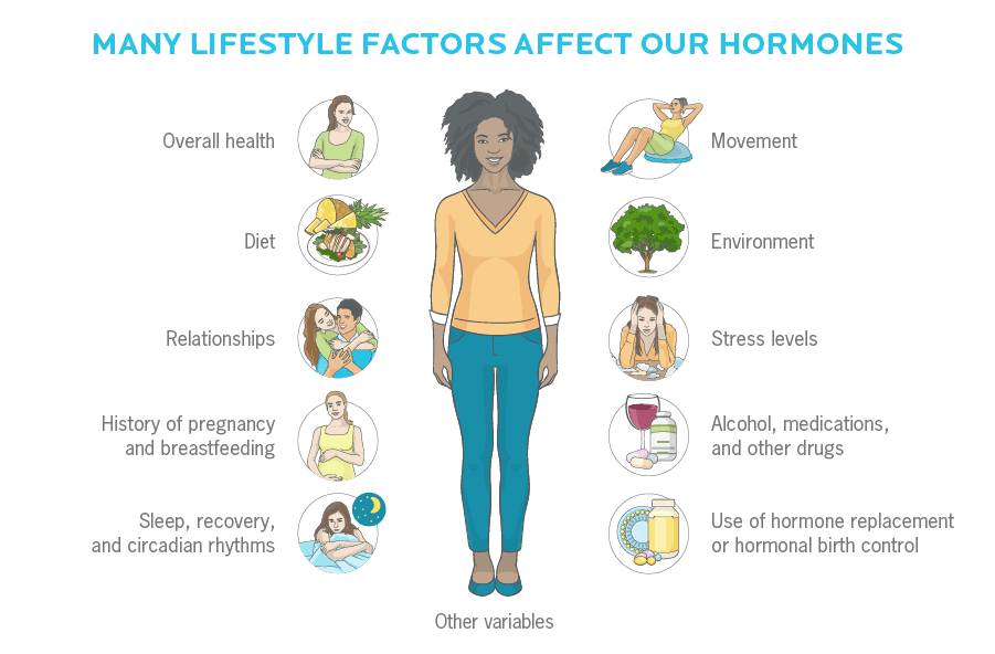 Diagram - how we have the power to influence our hormones through our mindset and lifestyle.