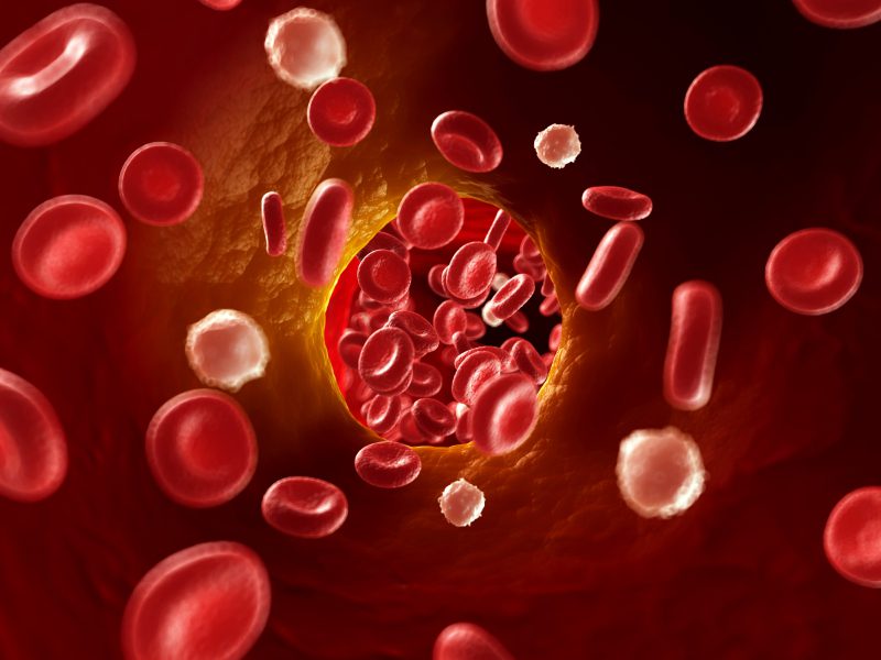 Blood cells going through the body - artist's rendition