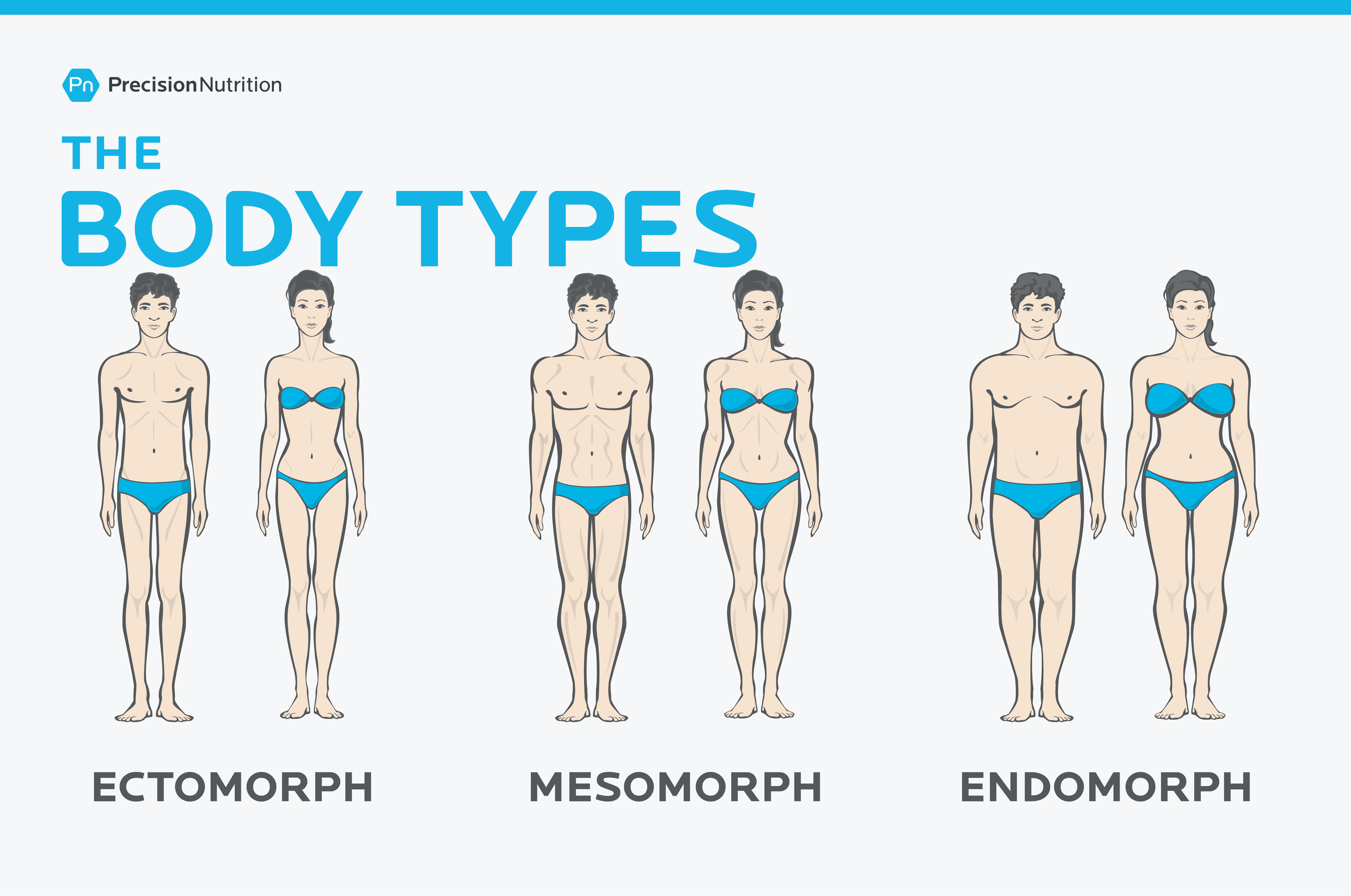 Gymnast linse frihed Body Type Dieting: Ectomorphs, Endomorphs, & Mesomorphs | Precision  Nutrition