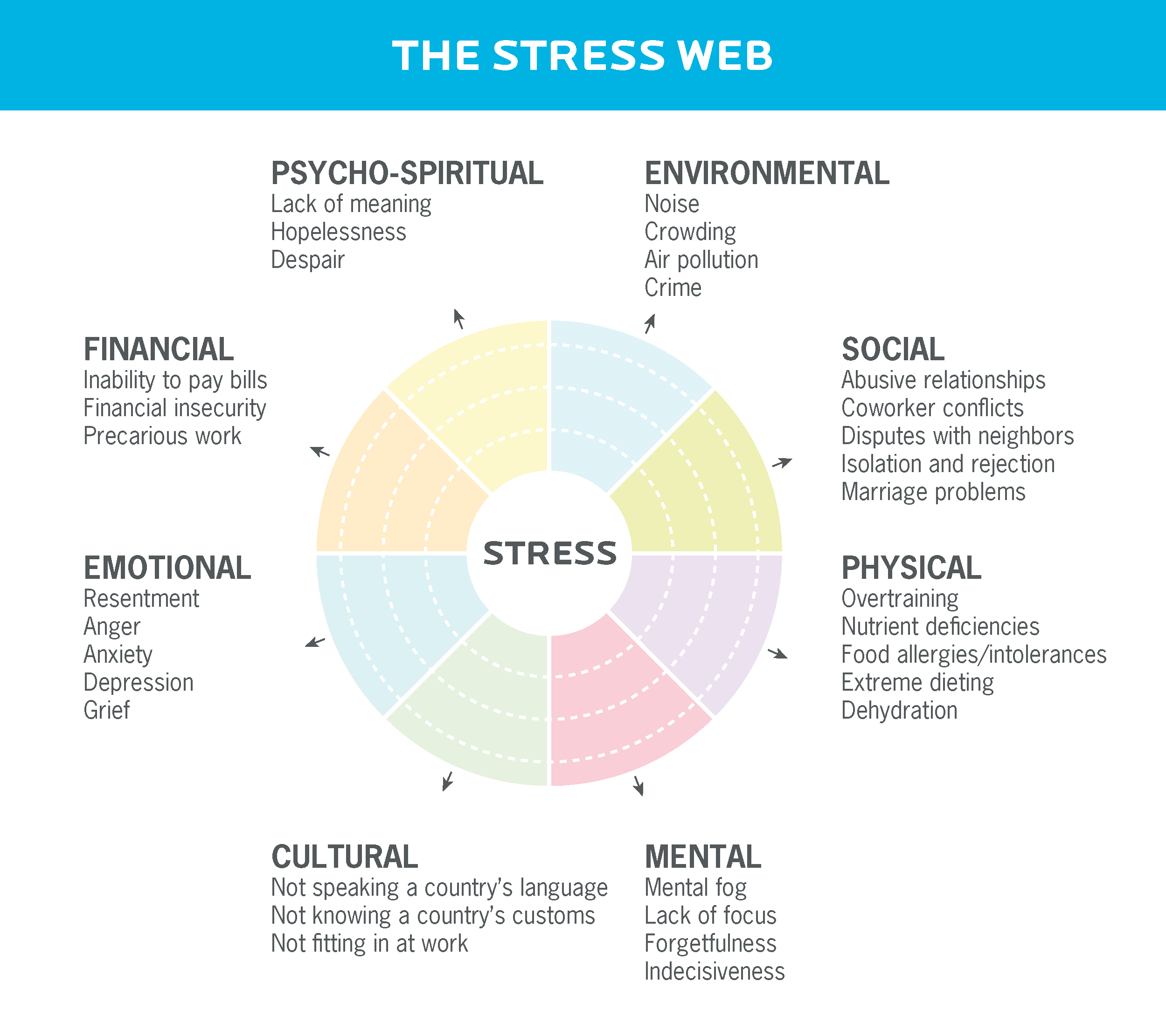 Various types of stress including cultural, mental, physical, social, environmental, psycho-spiritual, financial, emotional.