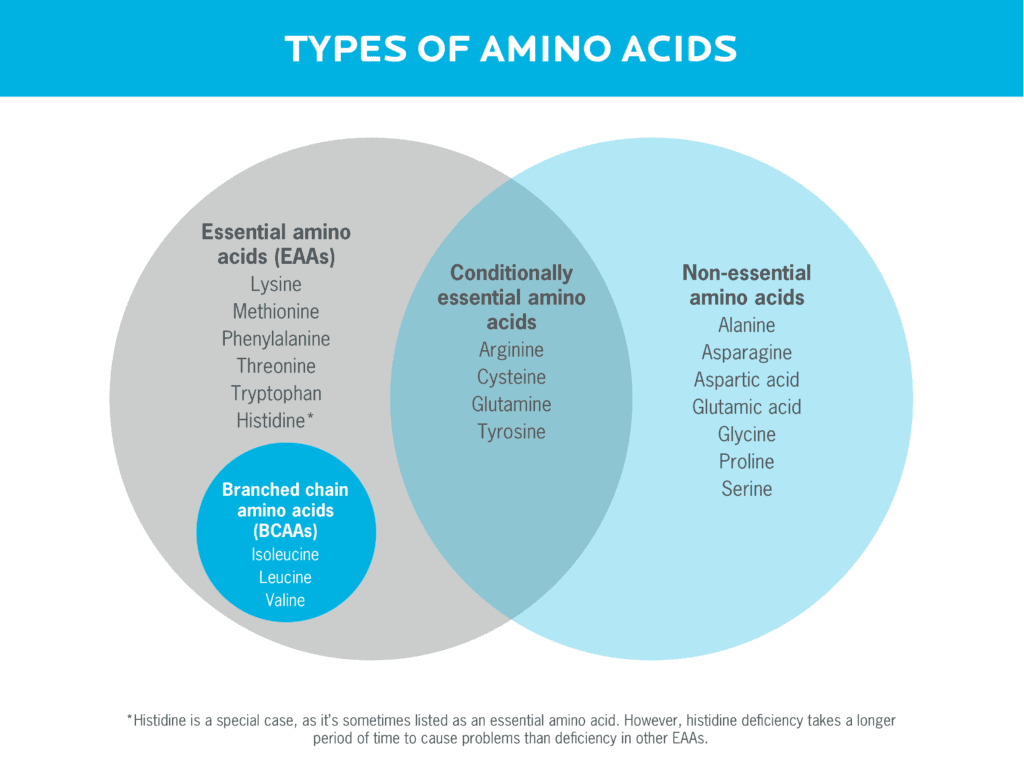 A Venn diagram showing the types of amino acids, including essential amino acids, branched chain amino acids, conditionally essential amino acids, and non-essential amino acids.