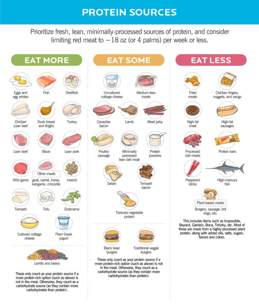 Graphic of various protein sources. 