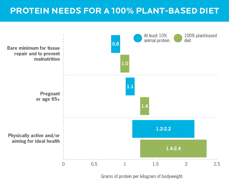 A bar graph showing that people who eat a fully plant-based diet need more protein than those who eat animal protein. 