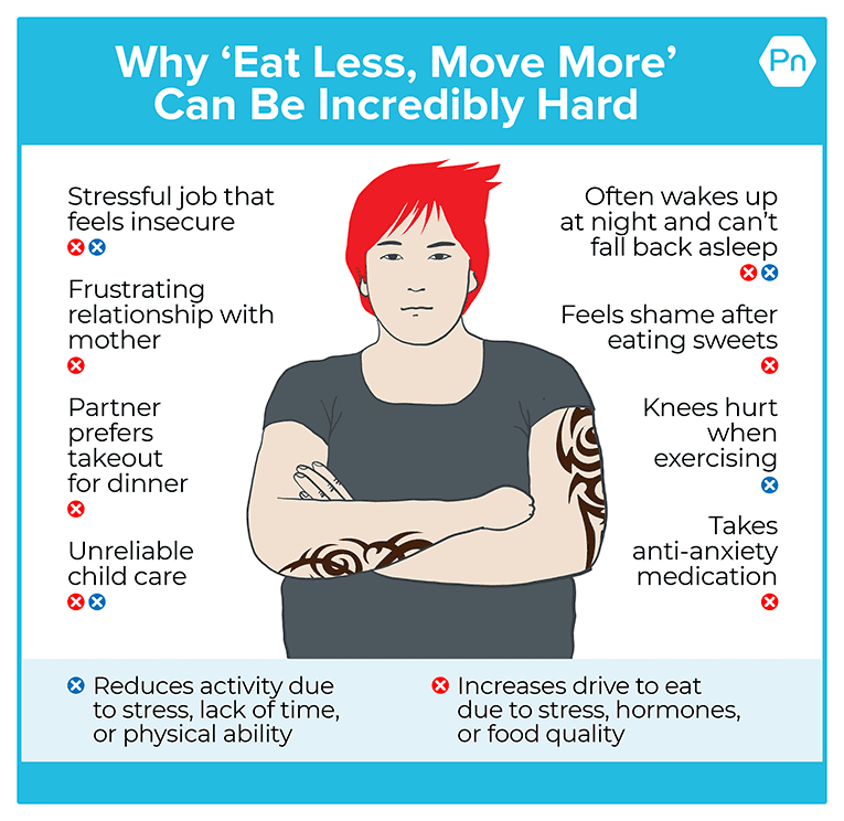Infographic that shows how many interconnected factors can reduce activity due to stress, lack of time, or physical ability and increases drive to eat due to stress, hormones, or food quality.