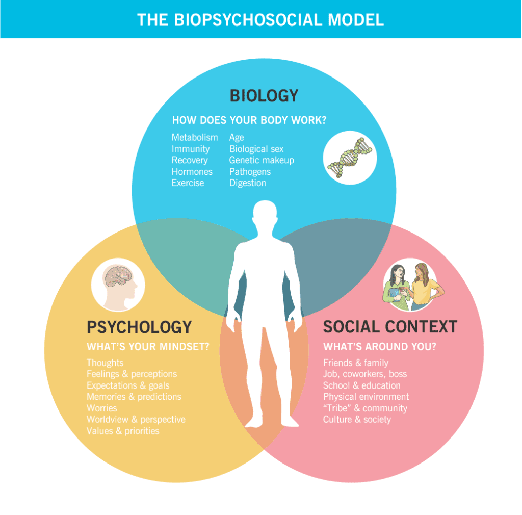 A Venn diagram showing how the biopsychosocial model works, and what areas of life are included in the three areas: biology, psychology, and social context.