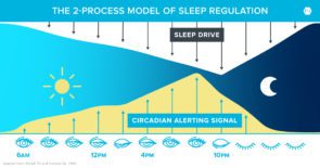 Illustration of the 2-process model of sleep regulation. Sleep drive represented on top; circadian alerting signal on bottom