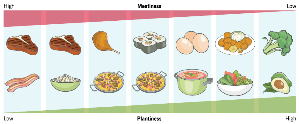 Graphic that shows the variation of plant-based diets, placing foods on a scale from low to high Meatiness of Plantiness.