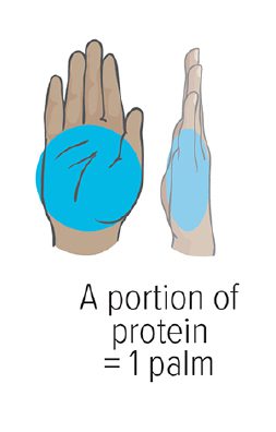 Graphic a palm from overhead and from the side, to emphasize that to choose a protein that’s both the diameter and thickness of your palm.