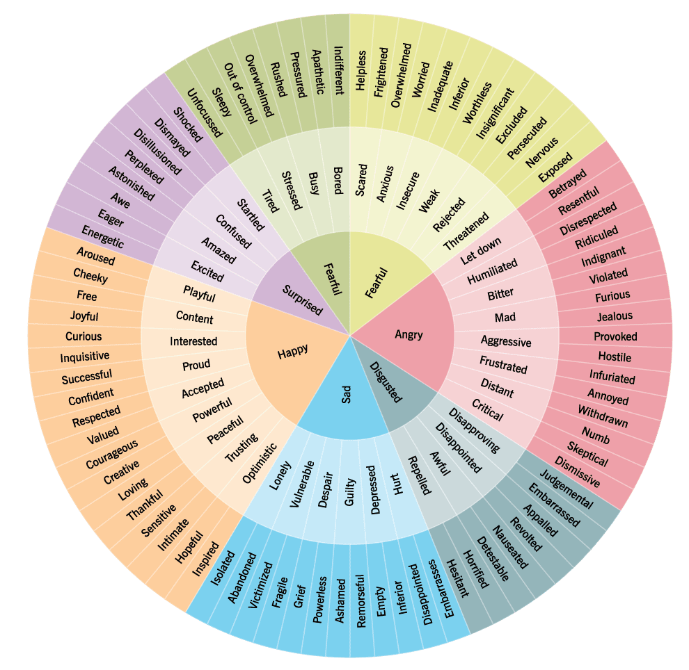 Circular diagram shows a variety of emotions. The emotions in the middle circle—like surprised, happy, or disgusted—lead to more specific, precise emotions in the out circle—like shocked, confident, or withdrawn.