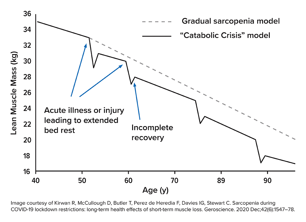 Graph shows how muscle mass generally decreases over time starting around the age of 40. Some events, like like acute illness or injury leading to extended bed rest, contribute to disproportionate dips in muscle mass. This mass is usually regained so long as training and nutrition is resumed.