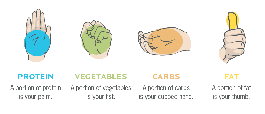 Illustrations of hands demonstrating the portion sizes of protein, vegetables, carbs, and fats.